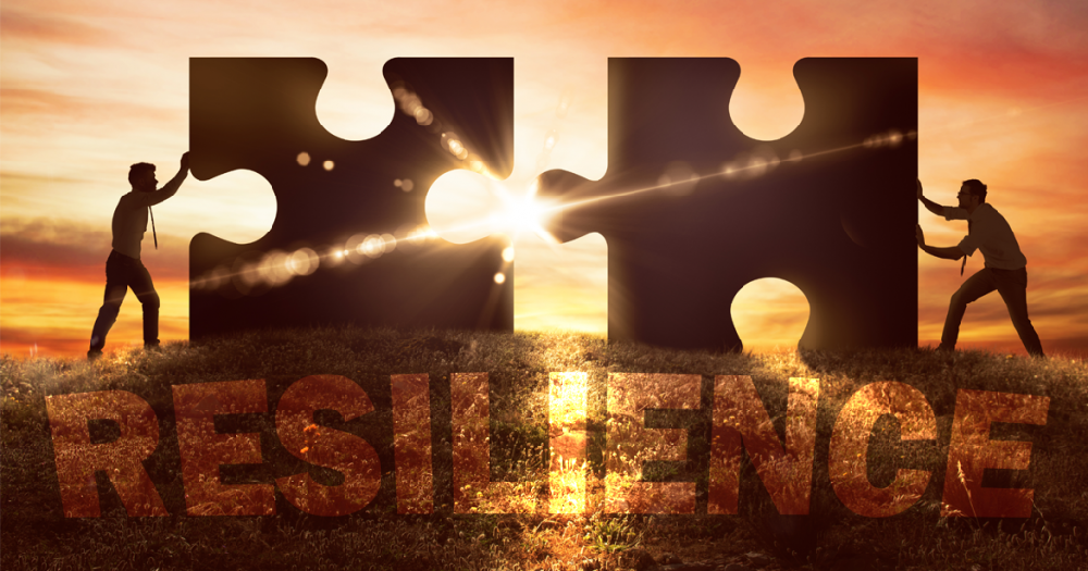 Embrace Change by Harnessing the Power of Adaptability